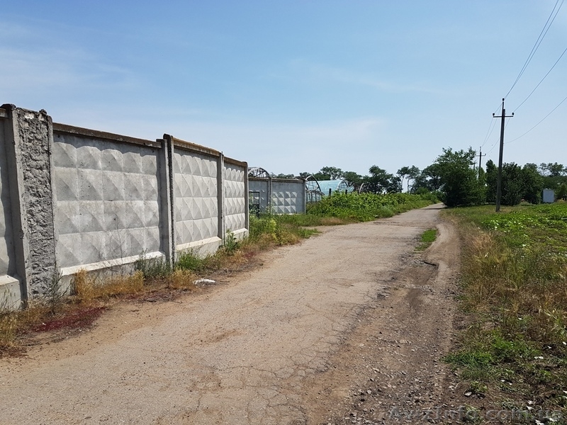 Продажа предприятия плодовоовощной базы в Овидиопольском районе. - <ro>Изображение</ro><ru>Изображение</ru> #8, <ru>Объявление</ru> #1623990