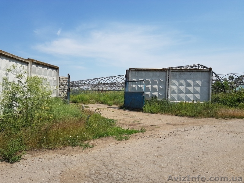 Продажа предприятия плодовоовощной базы в Овидиопольском районе. - <ro>Изображение</ro><ru>Изображение</ru> #9, <ru>Объявление</ru> #1623990
