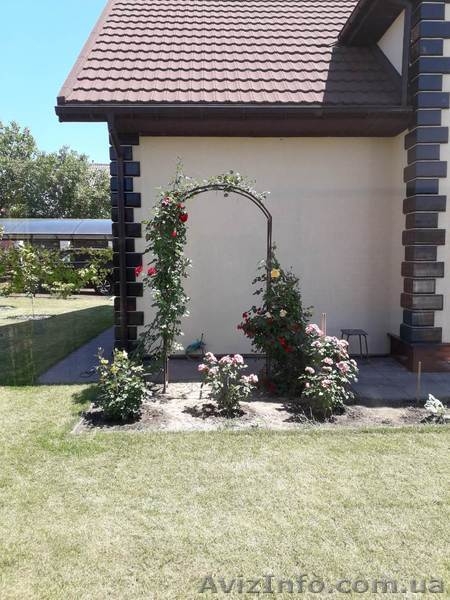 Рулонный газон, посевной газон в Одессе - <ro>Изображение</ro><ru>Изображение</ru> #4, <ru>Объявление</ru> #1627763