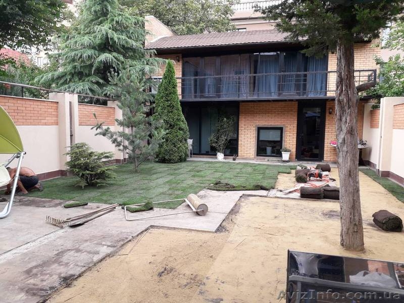 Рулонный газон, посевной газон в Одессе - <ro>Изображение</ro><ru>Изображение</ru> #5, <ru>Объявление</ru> #1627763