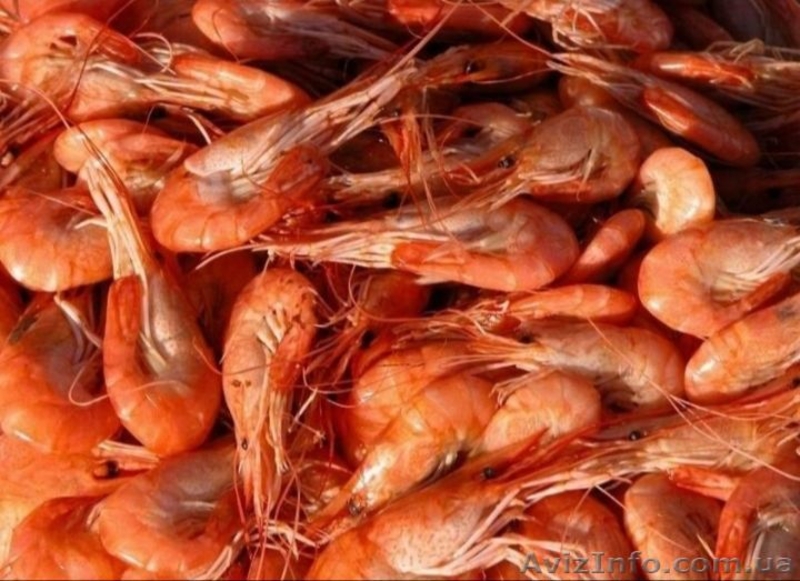 Продажа черноморской креветки - <ro>Изображение</ro><ru>Изображение</ru> #3, <ru>Объявление</ru> #1632434
