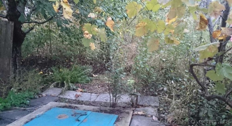 Продам Дом Беляевка центр. Торг - <ro>Изображение</ro><ru>Изображение</ru> #7, <ru>Объявление</ru> #1634708