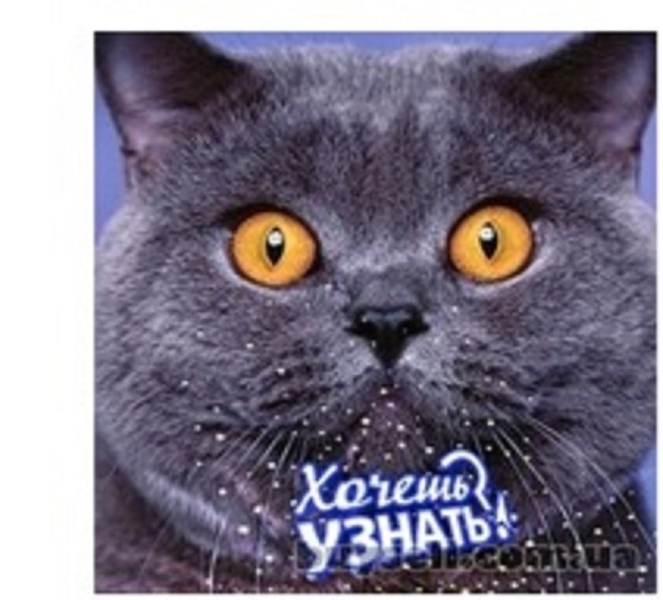 Вкладыши шатунные и коренные.   - <ro>Изображение</ro><ru>Изображение</ru> #3, <ru>Объявление</ru> #1602098