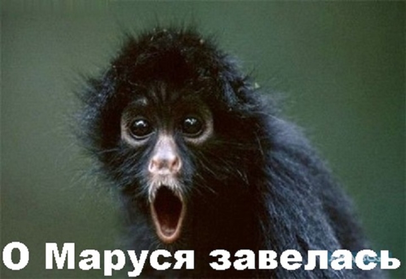 Редукторы для ГАЗ-21. - <ro>Изображение</ro><ru>Изображение</ru> #6, <ru>Объявление</ru> #1602095