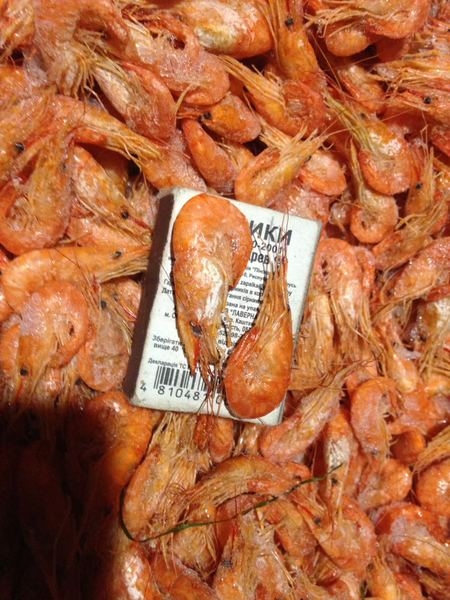 Продам креветку черноморскую - <ro>Изображение</ro><ru>Изображение</ru> #3, <ru>Объявление</ru> #1647317
