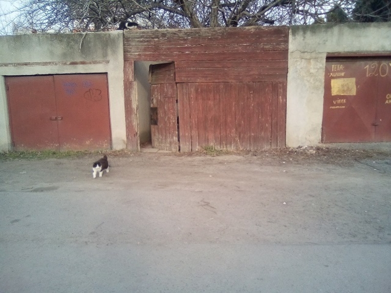 Продам свой участок с частью дома все коммуникации,идеально под бизнес - <ro>Изображение</ro><ru>Изображение</ru> #3, <ru>Объявление</ru> #1650244