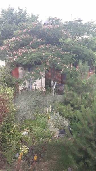 Сдаются комнаты для семейного отдыха с детьми  - <ro>Изображение</ro><ru>Изображение</ru> #3, <ru>Объявление</ru> #1651928