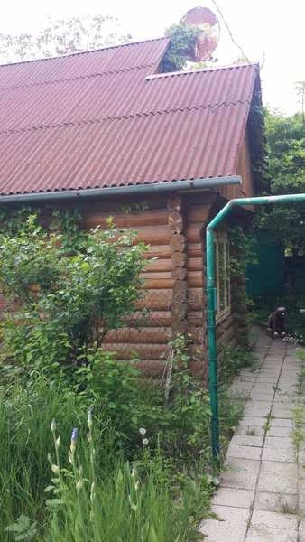 Сруб у самого пляжа в Черноморске Одесской обл. - <ro>Изображение</ro><ru>Изображение</ru> #3, <ru>Объявление</ru> #1657429