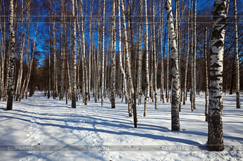 Продам. Натуральный  берёзовый  сок  100%. квас, сироп. Кленовый  сок, сироп.  - <ro>Изображение</ro><ru>Изображение</ru> #3, <ru>Объявление</ru> #1659746