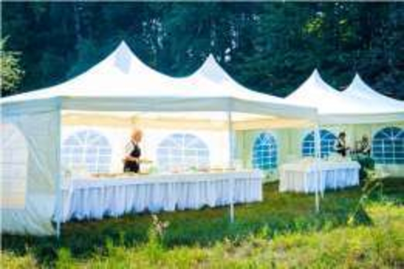 Аренда прокат шатра-павильйона 7х5м Есть батут 4х4м. - <ro>Изображение</ro><ru>Изображение</ru> #5, <ru>Объявление</ru> #1666343