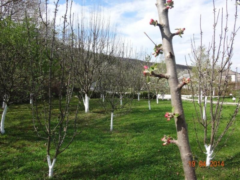 Дом в Крыму - <ro>Изображение</ro><ru>Изображение</ru> #6, <ru>Объявление</ru> #1701542