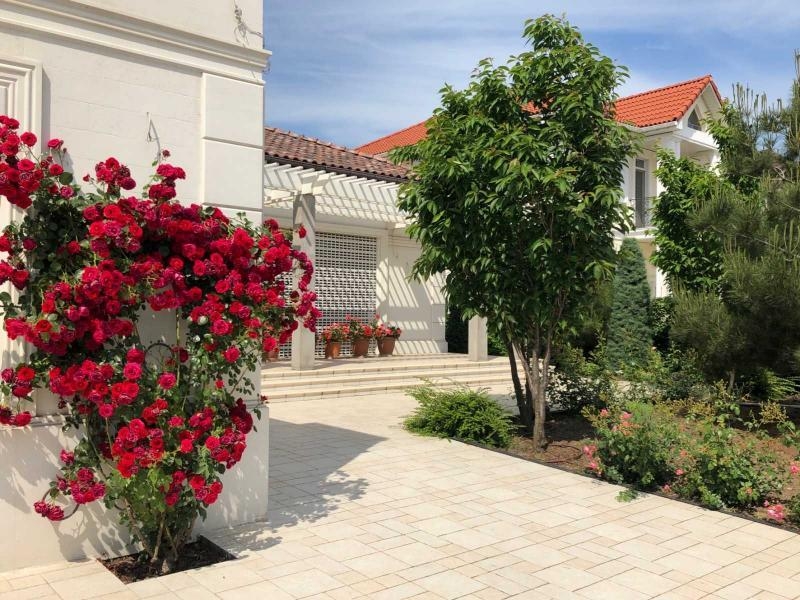 Продается одноэтажный дом с бассейном в Совиньоне, Одесса - <ro>Изображение</ro><ru>Изображение</ru> #3, <ru>Объявление</ru> #1701627