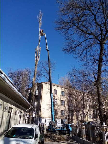 Аренда авт0вышки в 0дессе - <ro>Изображение</ro><ru>Изображение</ru> #5, <ru>Объявление</ru> #1707621