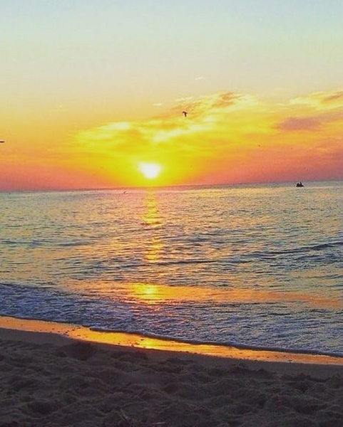 Семейный отдых на Черном море.Затока.Отель Адам и Ева.2022 - <ro>Изображение</ro><ru>Изображение</ru> #9, <ru>Объявление</ru> #1711085