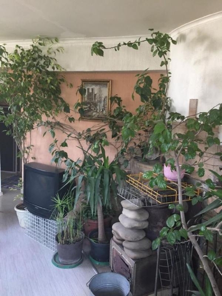 Продам уютный одноэтажный дом на Слободке с участком 12 соток - <ro>Изображение</ro><ru>Изображение</ru> #8, <ru>Объявление</ru> #1709758