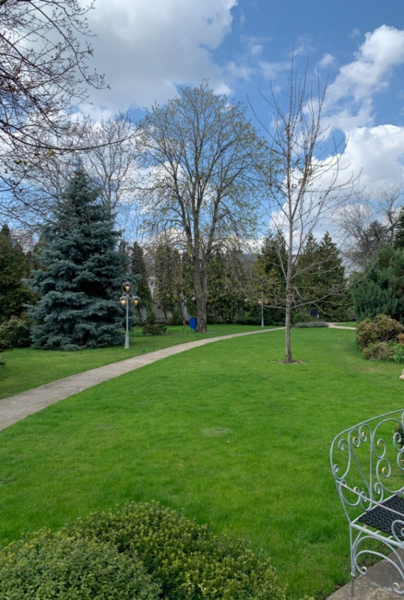 Сдам на лето в Одессе элитный дом 870 м с видом на море, бассейн, 25 соток - <ro>Изображение</ro><ru>Изображение</ru> #6, <ru>Объявление</ru> #1710016