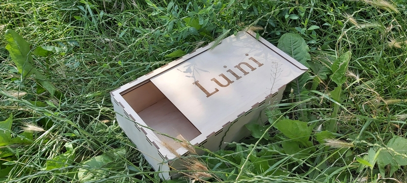 Шкатулки резные - <ro>Изображение</ro><ru>Изображение</ru> #9, <ru>Объявление</ru> #1715980