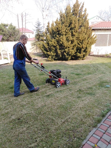 Нужно убрать или расчистить участок? Позвоните нам! - <ro>Изображение</ro><ru>Изображение</ru> #4, <ru>Объявление</ru> #1719338