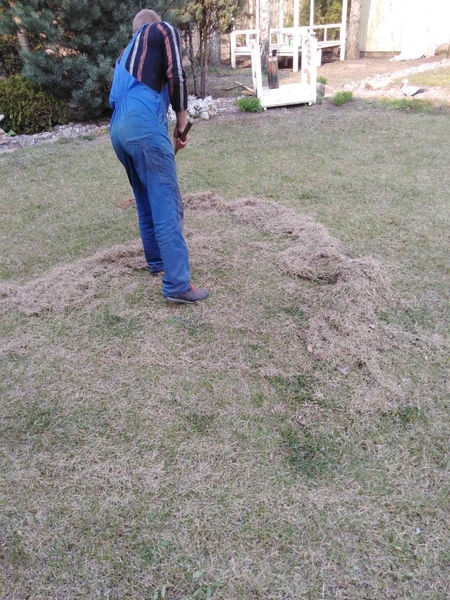 Обрезка сада, стрижка хвойных, спил деревьев. Недорого - <ro>Изображение</ro><ru>Изображение</ru> #4, <ru>Объявление</ru> #1723523