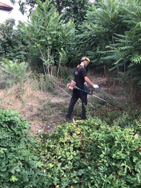 Уборка участков, покос, вспашка. Как для себя - <ro>Изображение</ro><ru>Изображение</ru> #3, <ru>Объявление</ru> #1727626