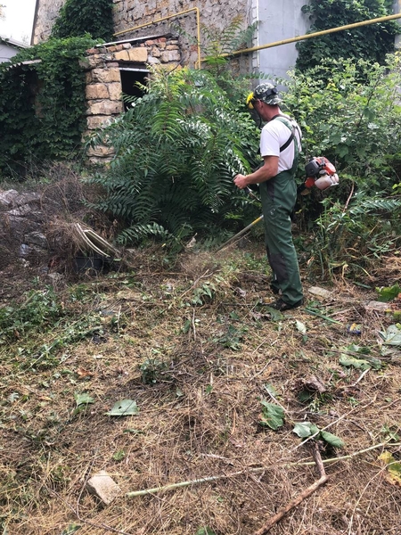 Покос травы, бурьяна, газонов. Качественно - <ro>Изображение</ro><ru>Изображение</ru> #4, <ru>Объявление</ru> #1727629