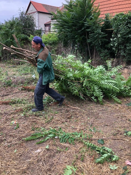 Уборка участков, покос, вспашка. Как для себя - <ro>Изображение</ro><ru>Изображение</ru> #5, <ru>Объявление</ru> #1727626