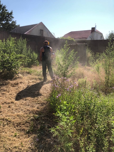 Покос травы, бурьяна, газонов. Качественно - <ro>Изображение</ro><ru>Изображение</ru> #5, <ru>Объявление</ru> #1727629