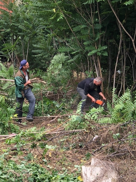 Уборка участков, покос и вспашка. Как для себя - <ro>Изображение</ro><ru>Изображение</ru> #3, <ru>Объявление</ru> #1728836