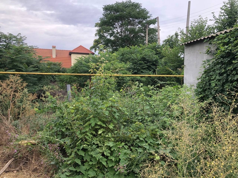 Уборка участков, покос и вспашка. Работы выполняем как для себя - <ro>Изображение</ro><ru>Изображение</ru> #3, <ru>Объявление</ru> #1729882