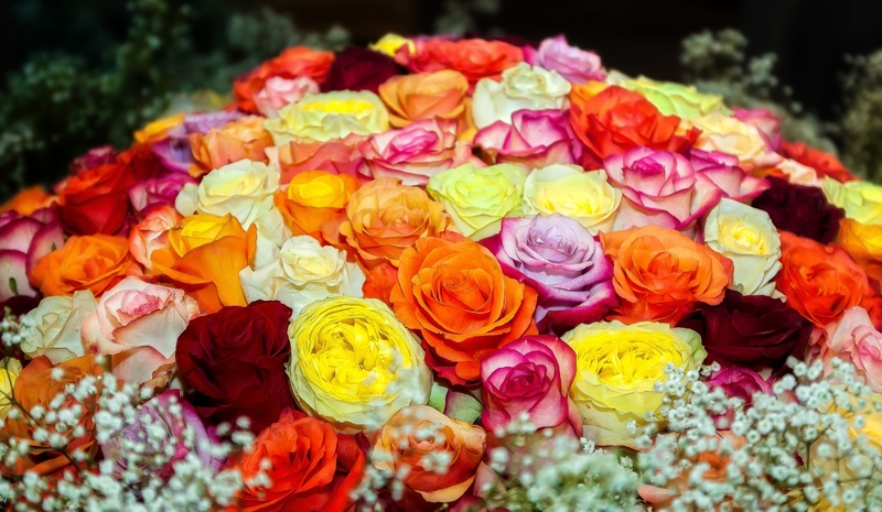 Проведение праздников. Ведущая,музыка,шоу - <ro>Изображение</ro><ru>Изображение</ru> #8, <ru>Объявление</ru> #1731994