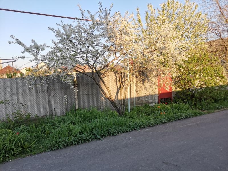 Продам ухоженный участок - <ro>Изображение</ro><ru>Изображение</ru> #3, <ru>Объявление</ru> #1736189