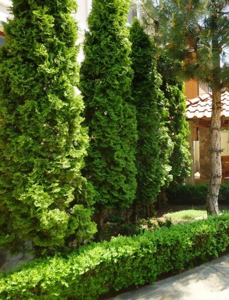 Продажа Одесса VIP дом у моря 355 м, бассейн, дорогой ремонт, Б.Фонтан - <ro>Изображение</ro><ru>Изображение</ru> #6, <ru>Объявление</ru> #1735886