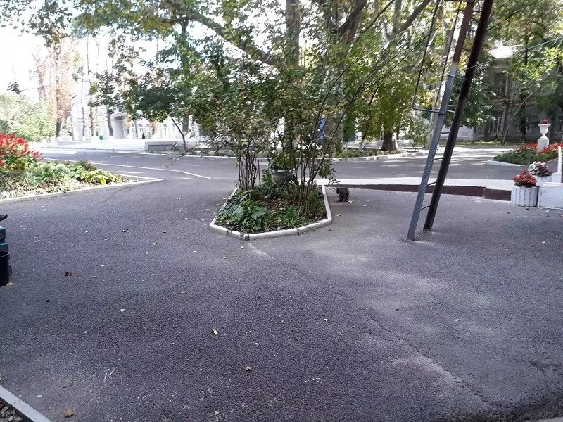 Ямочный ремонт Одесса. Укладка асфальта. - <ro>Изображение</ro><ru>Изображение</ru> #3, <ru>Объявление</ru> #1737114