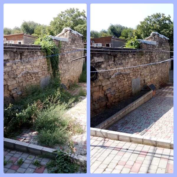 Убераем участки расчищаем территории порядочная честная работа - <ro>Изображение</ro><ru>Изображение</ru> #3, <ru>Объявление</ru> #1739717