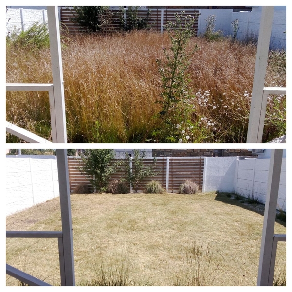 Добросовестно.Уборка дач и участков домов - <ro>Изображение</ro><ru>Изображение</ru> #3, <ru>Объявление</ru> #1739733