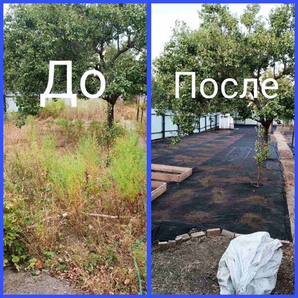 Убрать участок покосить вспахать работаем на совесть - <ro>Изображение</ro><ru>Изображение</ru> #4, <ru>Объявление</ru> #1739734