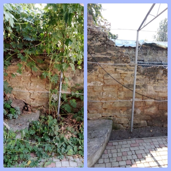 Убераем участки расчищаем территории порядочная честная работа - <ro>Изображение</ro><ru>Изображение</ru> #5, <ru>Объявление</ru> #1739717