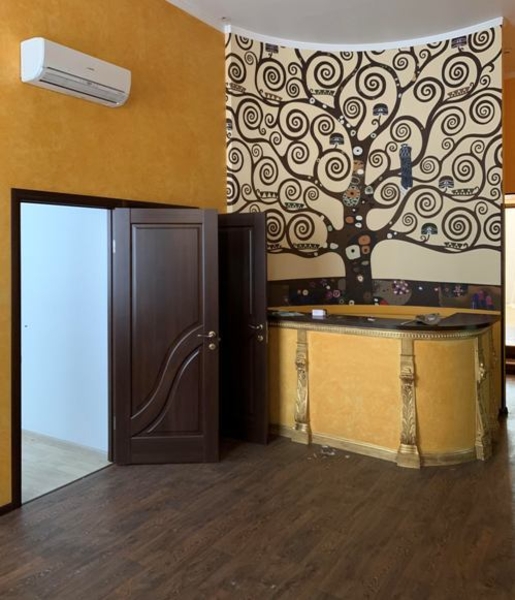 Одесса ул Ришельевская  аренда 157 м офис, медицин клинику 5 кабинетов. - <ro>Изображение</ro><ru>Изображение</ru> #3, <ru>Объявление</ru> #1739700