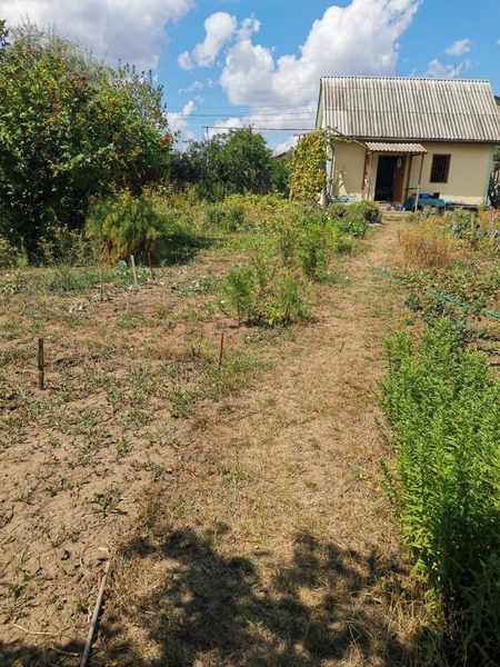 Продам ухоженный участок на Червоном хуторе - <ro>Изображение</ro><ru>Изображение</ru> #1, <ru>Объявление</ru> #1740024