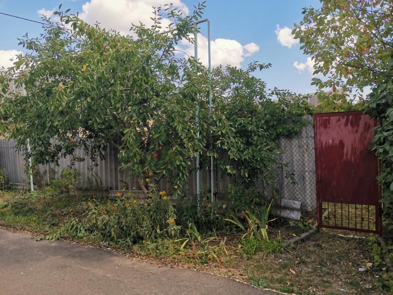 Продам ухоженный участок на Червоном хуторе - <ro>Изображение</ro><ru>Изображение</ru> #2, <ru>Объявление</ru> #1740024