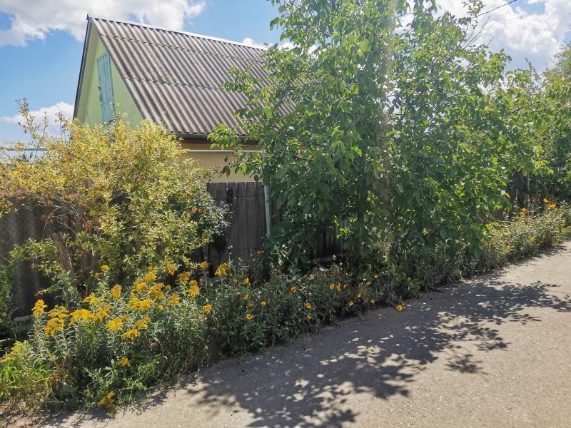 Продам ухоженный участок на Червоном хуторе - <ro>Изображение</ro><ru>Изображение</ru> #3, <ru>Объявление</ru> #1740024