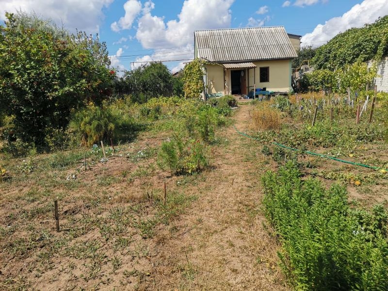 Продам ухоженный участок на Червоном хуторе - <ro>Изображение</ro><ru>Изображение</ru> #6, <ru>Объявление</ru> #1740024