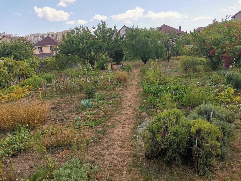 Продам ухоженный участок на Червоном хуторе - <ro>Изображение</ro><ru>Изображение</ru> #7, <ru>Объявление</ru> #1740024