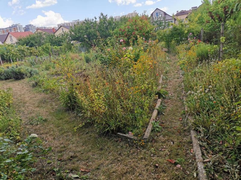 Продам ухоженный участок на Червоном хуторе - <ro>Изображение</ro><ru>Изображение</ru> #8, <ru>Объявление</ru> #1740024