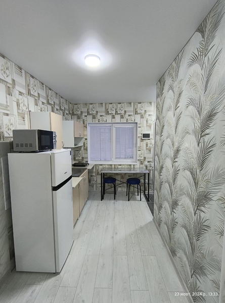 Посуточно. Разумовская. Одесса - <ro>Изображение</ro><ru>Изображение</ru> #3, <ru>Объявление</ru> #1748646