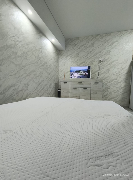 Посуточно. Разумовская. Одесса - <ro>Изображение</ro><ru>Изображение</ru> #4, <ru>Объявление</ru> #1748646