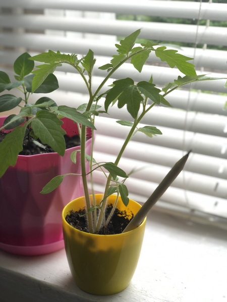 Корпоративні подарунки для агентств нерухомості - <ro>Изображение</ro><ru>Изображение</ru> #3, <ru>Объявление</ru> #1749168