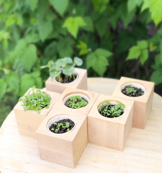 Еко Подарунки для школярів та вчителів - <ro>Изображение</ro><ru>Изображение</ru> #3, <ru>Объявление</ru> #1749120