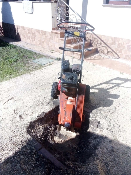 Спилим обрежем деревья, удалим поросли - <ro>Изображение</ro><ru>Изображение</ru> #5, <ru>Объявление</ru> #1750719