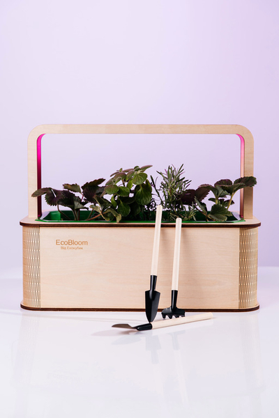 EcoBloom Smart Garden Розумний сад вдома - <ro>Изображение</ro><ru>Изображение</ru> #2, <ru>Объявление</ru> #1751028